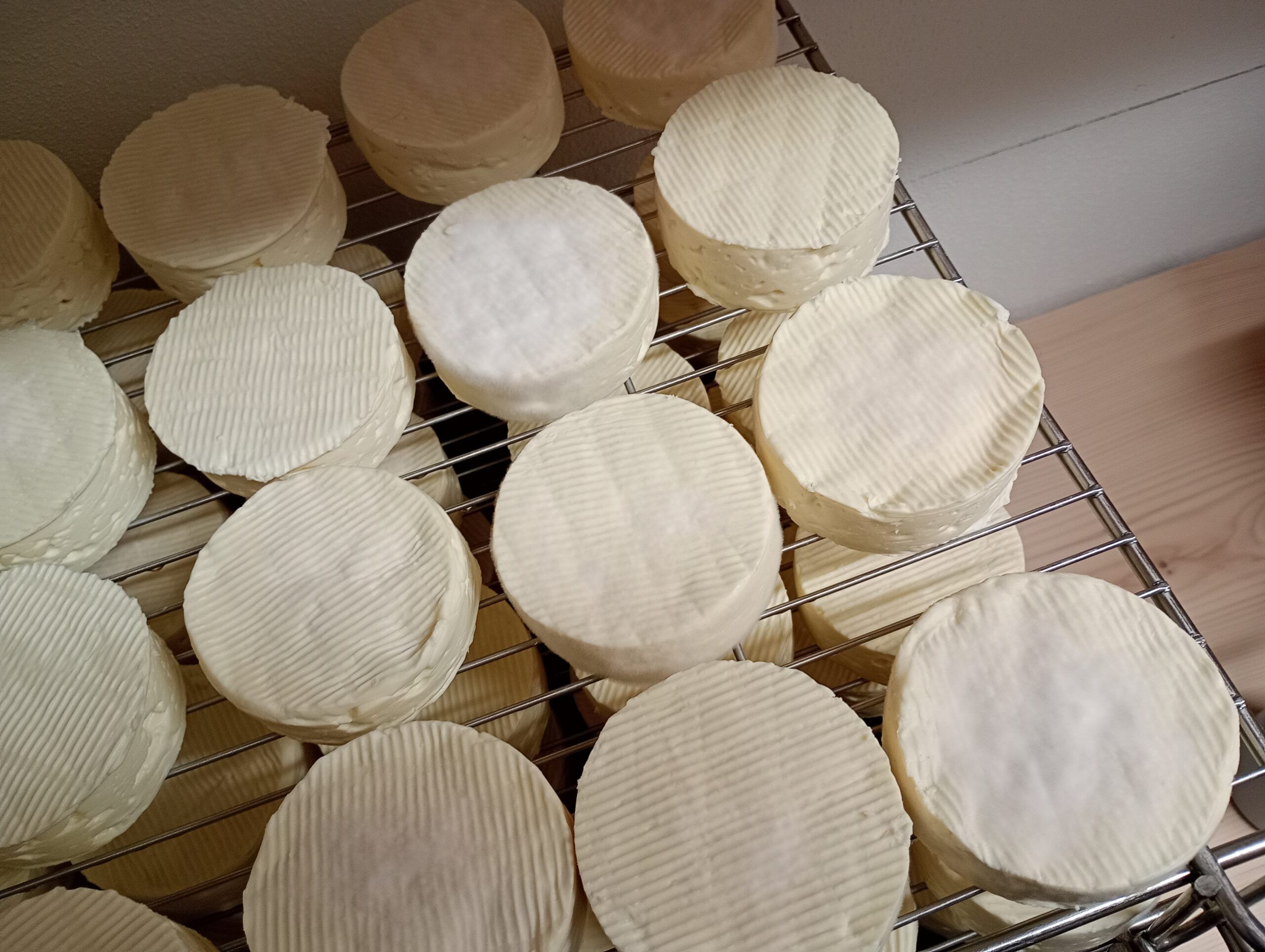 Käse Lagerung in der hofeigenen Käserei Katharinenhof