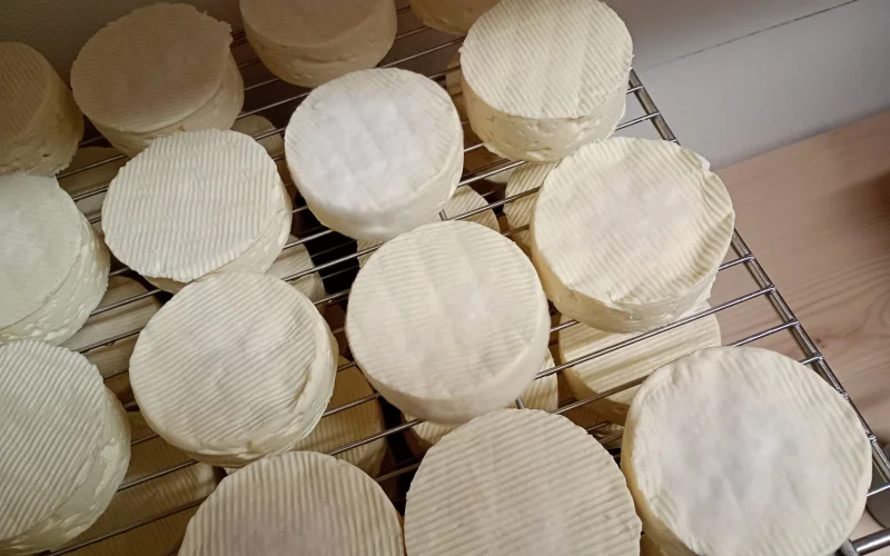 Käse Lagerung in der hofeigenen Käserei Katharinenhof